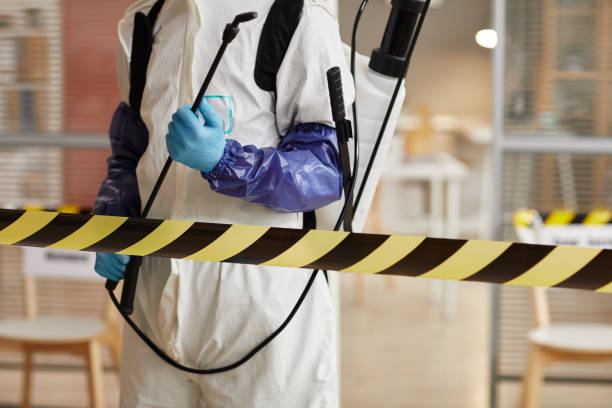 Professional Sewage Cleanup technician working in Verona, NJ